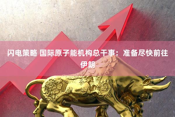 闪电策略 国际原子能机构总干事：准备尽快前往伊朗