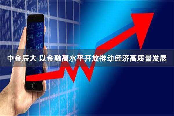 中金辰大 以金融高水平开放推动经济高质量发展