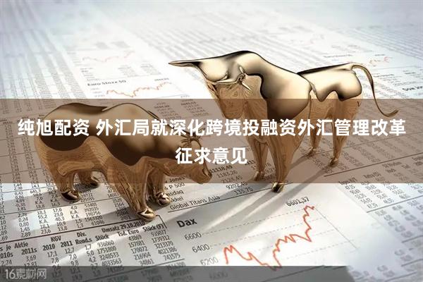 纯旭配资 外汇局就深化跨境投融资外汇管理改革征求意见