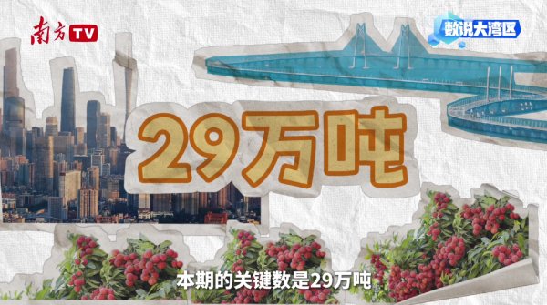 贵海国际 大湾区年产29万吨背后的给“荔”科技｜数说大湾区