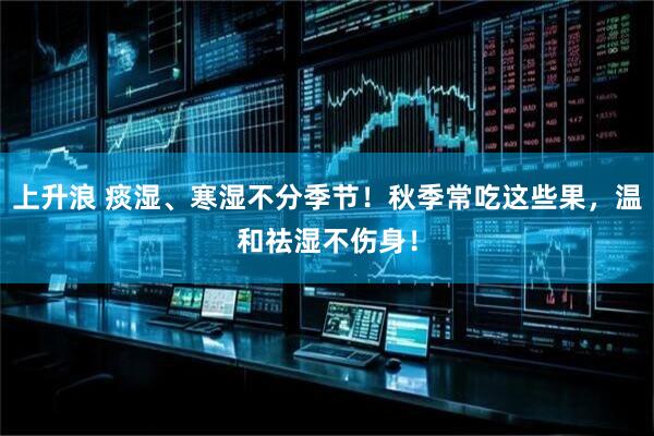 上升浪 痰湿、寒湿不分季节！秋季常吃这些果，温和祛湿不伤身！