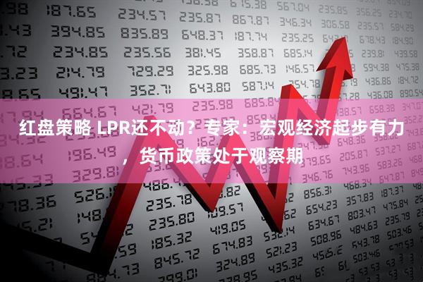红盘策略 LPR还不动？专家：宏观经济起步有力，货币政策处于观察期